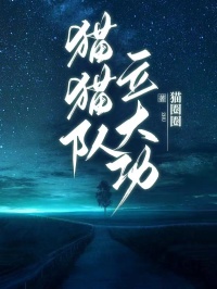 猫猫队立大功