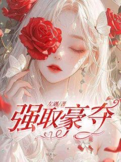 强取豪夺