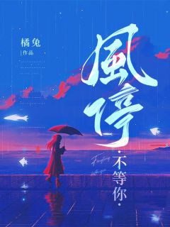 风停不等你