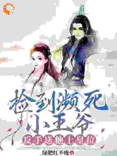 捡到濒死小王爷，反手送他上皇位