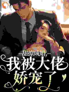甜撩成婚，我被大佬娇宠了