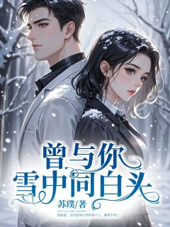 曾与你雪中同白头