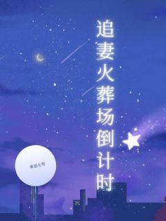 追妻火葬场倒计时