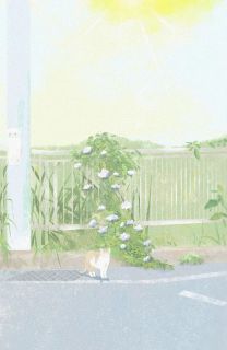 老公出轨后，我和婆婆杀疯了
