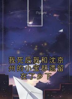 我死后我和沈京州的小宝却遗留在了乡下