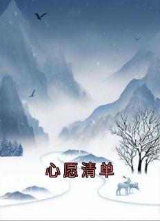 心愿清单