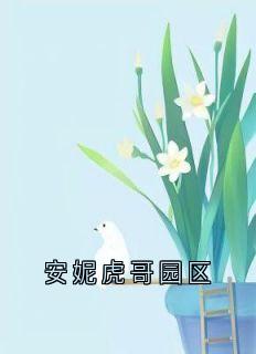 安妮虎哥园区
