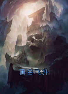 黑白飞升