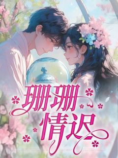 珊珊情迟