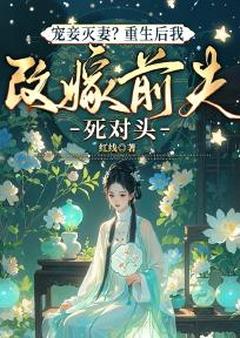 宠妾灭妻？重生后我改嫁前夫死对头