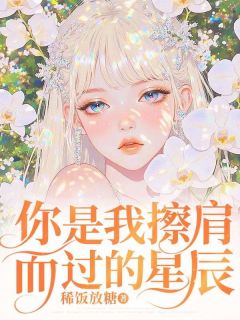 你是我擦肩而过的星辰