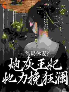 被王爷休弃的炮灰正妃