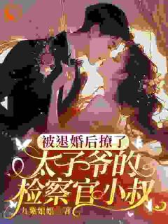 被退婚后撩了太子爷的检察官小叔