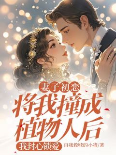 妻子初恋将我撞成植物人后，我封心锁爱