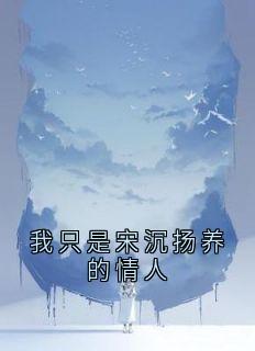 我只是宋沉扬养的情人