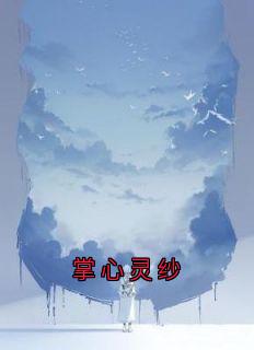 掌心灵纱
