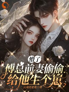 懵了，傅总前妻偷偷给他生个崽