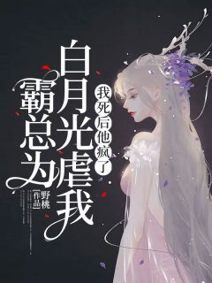 第一章我们离婚吧傅容琛