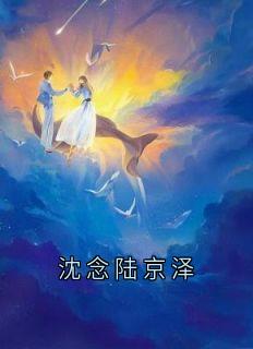 沈念陆京泽