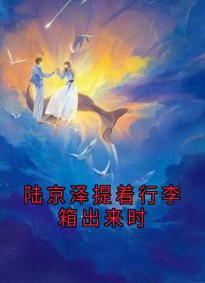 陆京泽提着行李箱出来时
