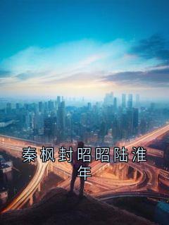 秦枫封昭昭陆淮年