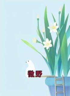 微野