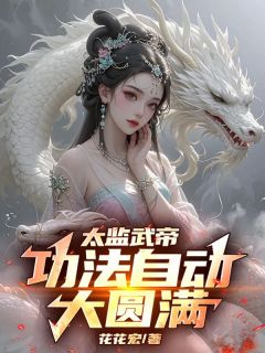 叶白穿越大武王朝