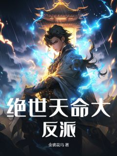 我叫叶玄是一个穿越者