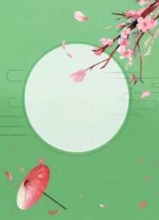 弑君杀储，母妃疯了