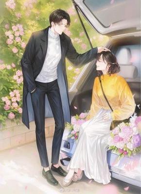 若八零的晚风徐来
