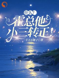 什么？霍总他小三转正！