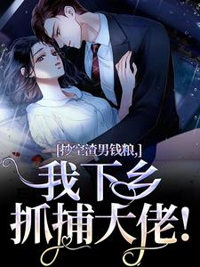 季云铮顾锦心