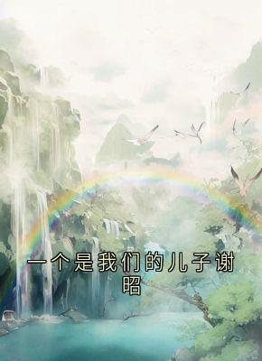 一个是我们的儿子谢昭