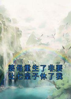 婆母重生了非要让七皇子休了我