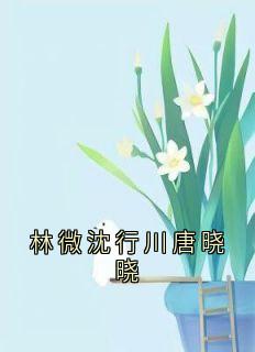 林微沈行川唐晓晓