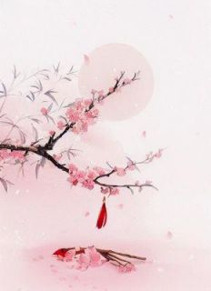沈鹤眠沈清漪