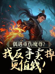 我靠101枚灵文炸翻诸天万界
