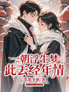一朝浮生梦，此去经年情小说的书名是什么