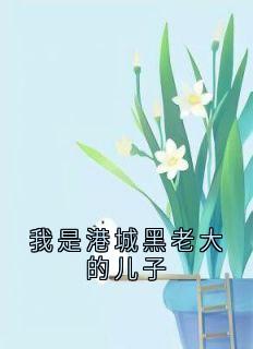 我是港城黑老大的儿子全文目录-周皓轩江凡小说无弹窗阅读