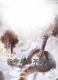 云中与你不复归