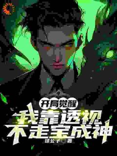 开局觉醒，我靠透视不走宝成神